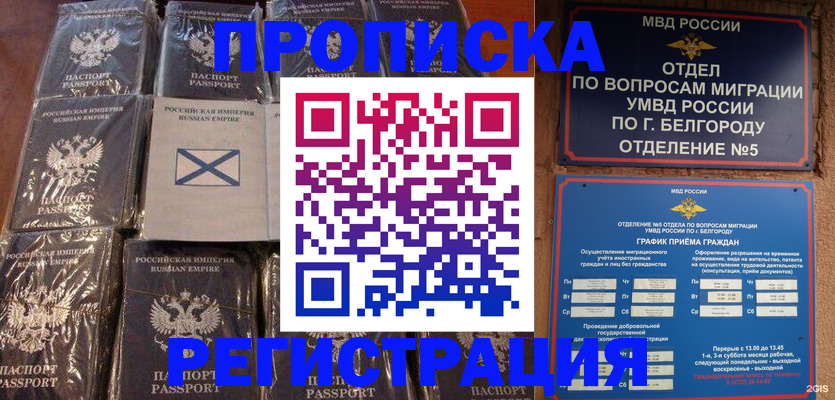 прописка гарантия в Ржеве